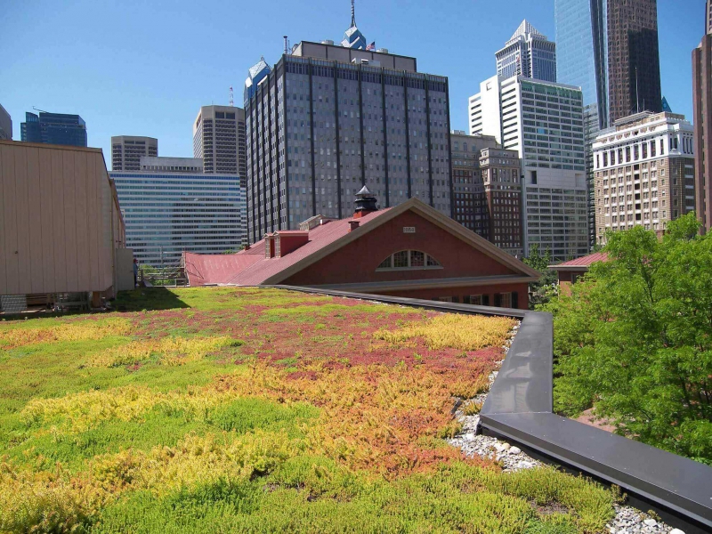 paysagiste-BELGENTIER-min_green-roof-portfolio-4